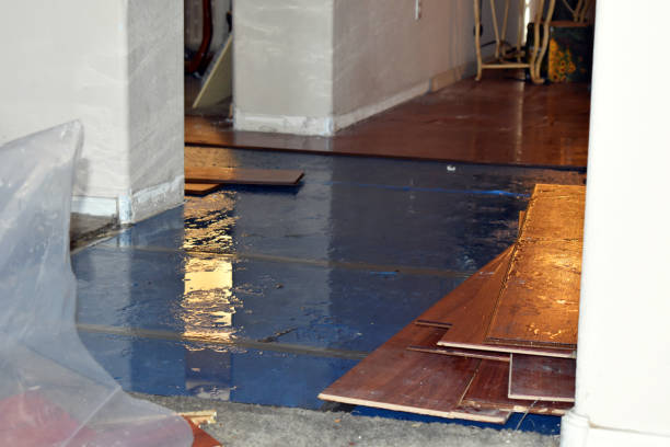 Professional Emergency Water Damage Restoration technician working in Elmont, NY